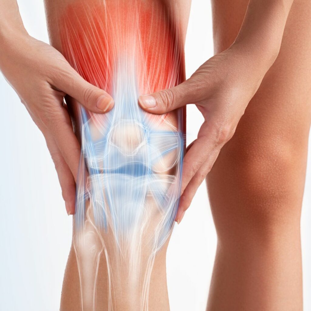 Orthopedics Near 11701